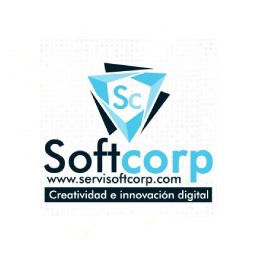 servisoft