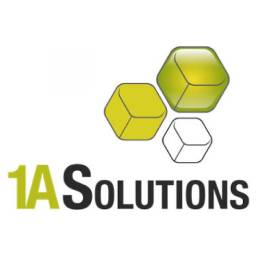 1A Solution