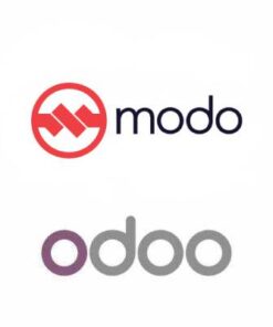Modo Odoo Connector